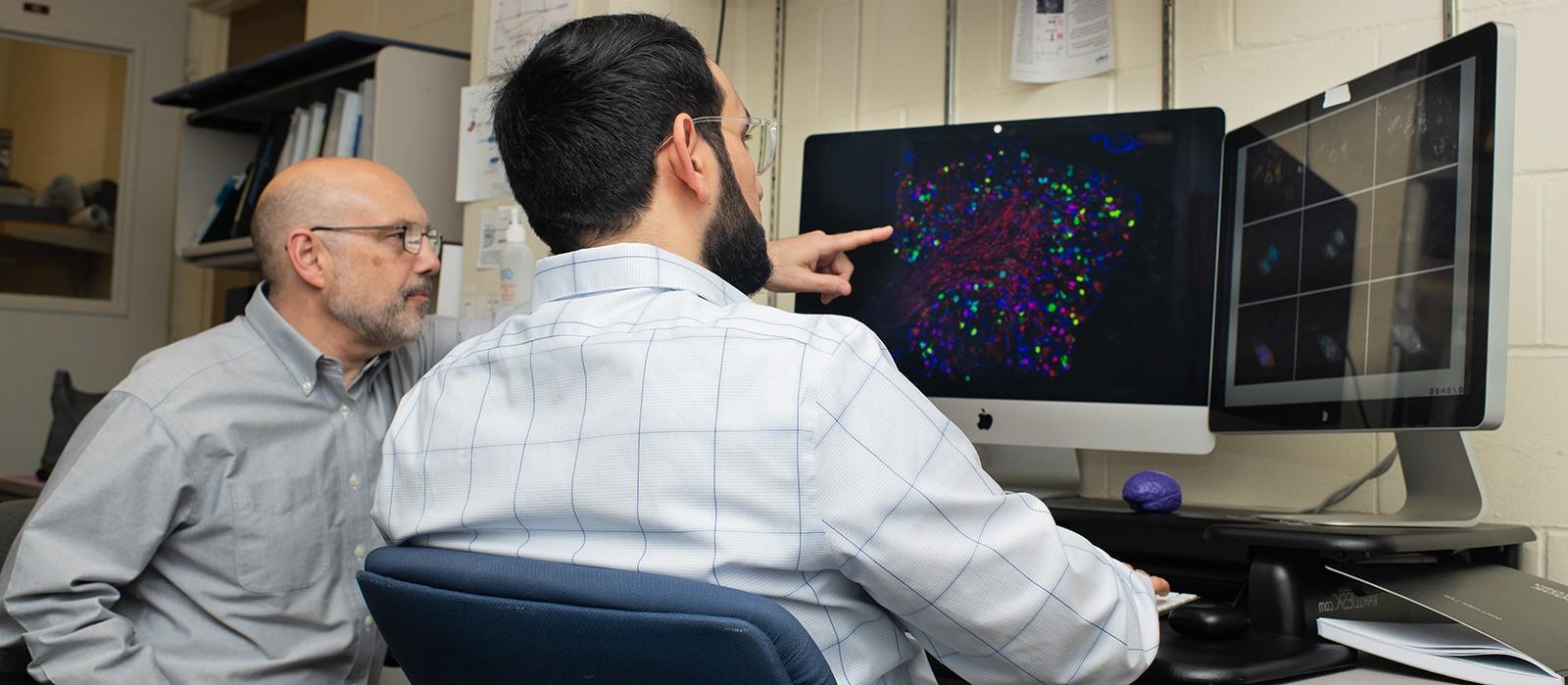 一位教授指着电脑屏幕上的组织学图像